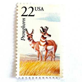 This is a gold stamps by Heritage Post House called pronghorn postage stamps | north american wildlife series | wedding stamps | vintage unused usps postage 22c | pack of 20 in standard