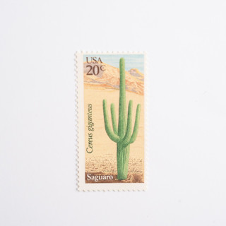 This is a green stamps by Flourish Fine Writing called 20 cent saguaro cactus postage stamps // set of 10 // unused vintage stamps in standard