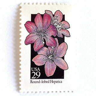 This is a purple stamps by Heritage Post House called round-lobed hepatica postage stamps | american wildflower series | purple flower | botanical | vintage unused usps postage 29c | pack of 10 in standard