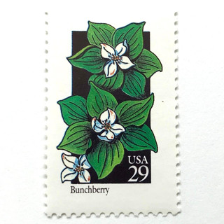 This is a white stamps by Heritage Post House called bunchberry postage stamps | american wildflower series | white green flower | botanical | vintage unused usps postage 29c | pack of 10 in standard
