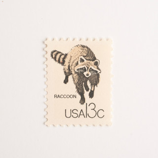 This is a gray stamps by Flourish Fine Writing called 13 cent raccoon stamps // set of 10 // unused vintage stamps in standard