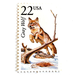 This is a gray stamps by Heritage Post House called gray wolf postage stamps | north american wildlife series | wedding stamps | vintage unused usps postage 22c | pack of 10 in standard