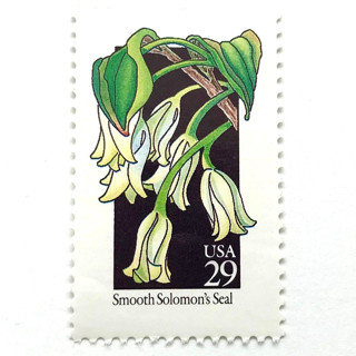 This is a white stamps by Heritage Post House called smooth solomon's seal postage stamps | american wildflower series | white flower | botanical | vintage unused usps postage 29c | pack of 10 in standard