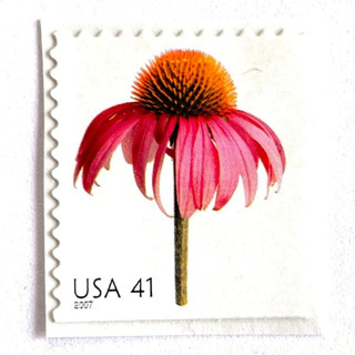 This is a pink stamps by Heritage Post House called coneflower postage stamps | beautiful blooms series | echinacea | pink flowers | botanical | wedding stamps | vintage unused usps postage 41c | pack of 10 in standard