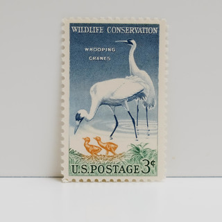 This is a multicolor stamps by Tablo Post called vintage unused stamps - whooping crane, 3 cent - set of 5 in standard