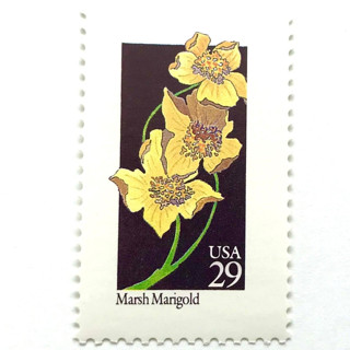 This is a yellow stamps by Heritage Post House called marsh marigold postage stamp | american wildflower series | yellow flower | botanical | vintage unused usps postage 29c | pack of 10 in standard