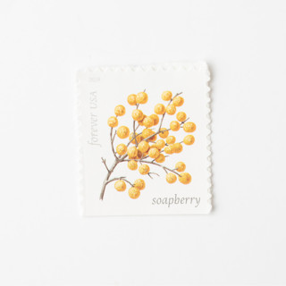 This is a yellow stamps by Flourish Fine Writing called yellow soapberry forever stamps // set of 10 // unused vintage stamps in standard