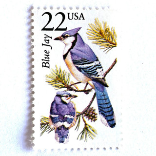 This is a blue stamps by Heritage Post House called blue jay postage stamps | north american wildlife series | vintage unused usps postage 22c | pack of 10 in standard