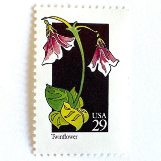 This is a purple stamps by Heritage Post House called twinflower postage stamps | american wildflower series | purple flower | botanical | vintage unused usps postage 29c | pack of 10 in standard