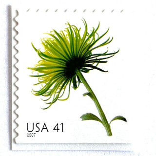 This is a green stamps by Heritage Post House called chrysanthemum postage stamps | beautiful blooms series | green flowers | botanical | wedding stamps | vintage unused usps postage 41c | pack of 10 in standard