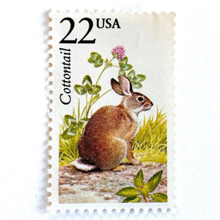 This is a beige stamps by Heritage Post House called cottontail rabbit postage stamps | north american wildlife series | wedding stamps | vintage unused usps postage 22c | pack of 10 in standard