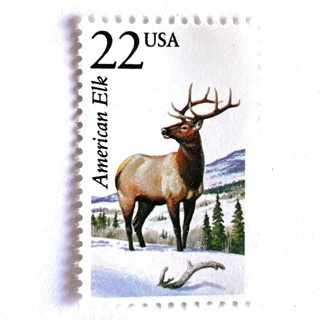 This is a beige stamps by Heritage Post House called american elk postage stamps | north american wildlife series | wedding stamps | vintage unused usps postage 22c | pack of 10 in standard