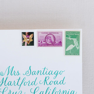 This is a multicolorassorted-colors stamps by Little Postage House called florida postage collection in standard