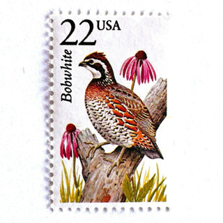 This is a brown stamps by Heritage Post House called bobwhite bird postage stamps | north american wildlife series | wedding stamps | vintage unused usps postage 22c | pack of 10 in standard