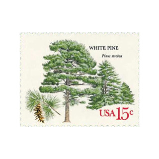 This is a green stamps by Flourish Fine Writing called 15 cent white pine tree postage stamps // set of 10 // unused vintage stamps in standard