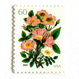 This is a pink stamps by Heritage Post House called garden botanical postage stamps | wedding series | botanical | wedding stamps | vintage unused usps postage 60c | pack of 10 in standard