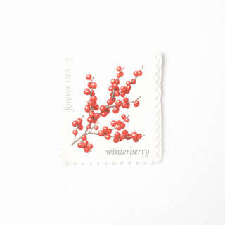 This is a red stamps by Flourish Fine Writing called red winterberry forever postage stamps // set of 10 // unused vintage stamps in standard