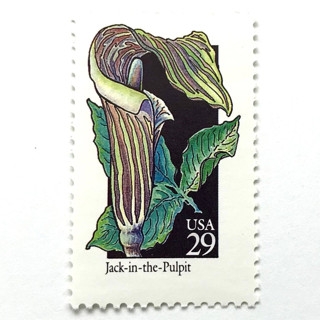 This is a green stamps by Heritage Post House called jack-in-the-pulpit postage stamps | american wildflower series | green flower | botanical | vintage unused usps postage 29c | pack of 10 in standard
