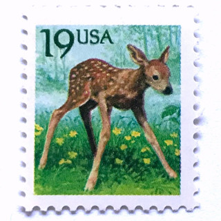 This is a green stamps by Heritage Post House called fawn postage stamps | christmas holidays | flora and fauna series | christmas stamps | christmas unused usps postage 19c | pack of 20 in standard