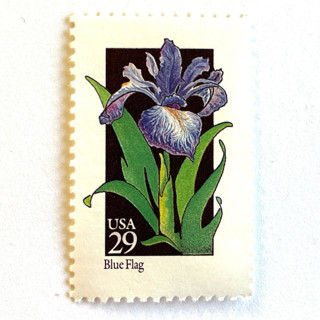 This is a purple stamps by Heritage Post House called blue flag postage stamps | american wildflower series | purple flower | botanical | vintage unused usps postage 29c | pack of 10 in standard