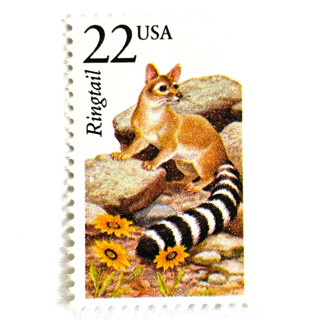 This is a beige stamps by Heritage Post House called ringtail postage stamps | north american wildlife series | southwest | wedding stamps | vintage unused usps postage 22c | pack of 10 in standard