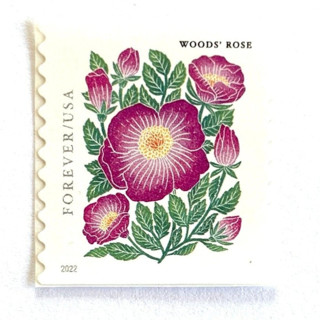 This is a pink stamps by Heritage Post House called woods' rose postage stamps | mountain flora series | pink flower | botanical | wedding stamps | vintage unused usps postage forever stamps | pack of 10 in standard