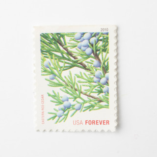 MIN-YUN-MXS - 10 Holiday Evergreen Forever Postage Stamps // Eastern Red Cedar // blue