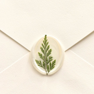 This is a multicolor wax seals by Inkspiringletters called natural fern- customizable color- set of 25 hand-crafted wax seals with dried and pressed leaves in standard