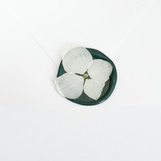 This is a green wax seals by Caitlin Home called white hydrangea wax seal in green | pack of 10 in standard
