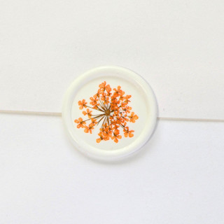 This is a multicolor wax seals by Inkspiringletters called queen anne's lace- orange dried and pressed florals on white - customizable shape- set of 25 wax seals in standard