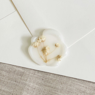 This is a clear wax seals by Maria Ferrer G. called dried baby's breath translucent wax seals | set of 10 in standard
