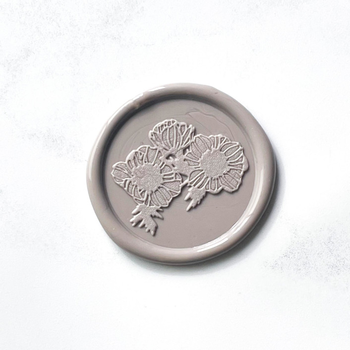 Anemone in Clay, Pack of 10