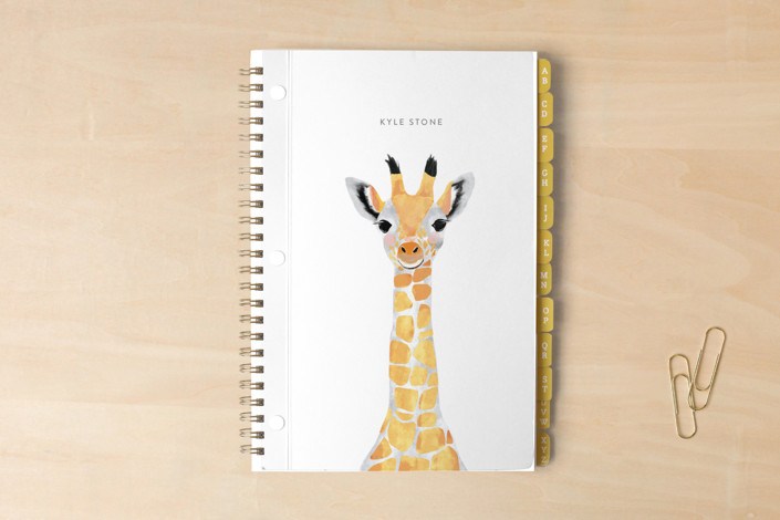Baby Animal Giraffe