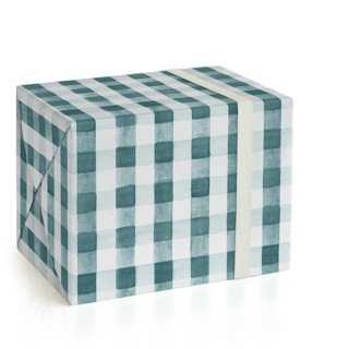 This is a blue ice wrapping paper by Tessa Blackham called watercolor gingham in standard