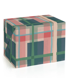 This is a fir wrapping paper by Rebecca Daublin called oliver in standard
