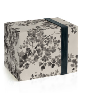 This is a champagne wrapping paper by Laura Condouris called wild fern in standard