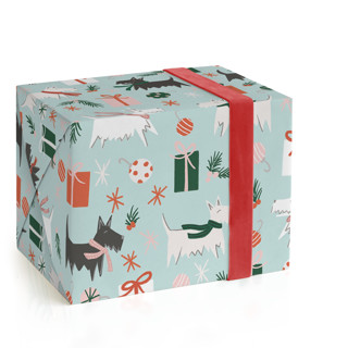 This is a frost wrapping paper by Lissabeth Anglin called scotties in scarves in standard