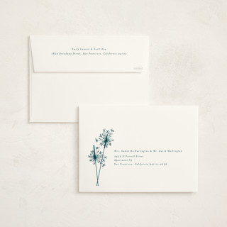 This is a peacock holiday photo cards with standard by Paula Pecevich called sparklers printing on signature in grand