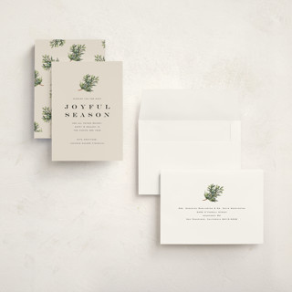 This is a putty holiday photo cards with standard by Olivia Kanaley Inman called juniper sprig printing on signature in grand