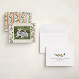 This is a clementine holiday photo cards with standard by Sarah Knight called highlands printing on recycled smooth signature in grand