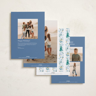 This is a blue spruce holiday photo cards with standard by Petra Kern called wonders of nature printing on recycled smooth signature in grand