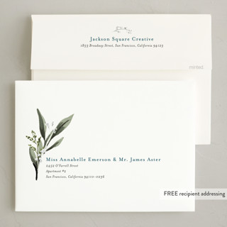 This is a blue spruce holiday photo cards with standard by Susan Moyal called holiday botanical printing on signature in grand