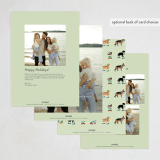 This is a sage holiday photo cards with standard by tara berg called holiday dogs printing on signature in grand