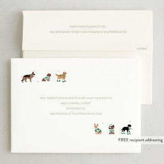 This is a sage holiday photo cards with standard by tara berg called holiday dogs printing on signature in grand