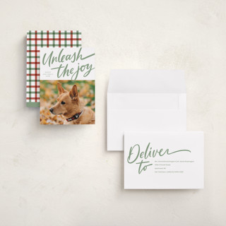 This is a spruce holiday photo cards with standard by Erin German called unleash the joy printing on recycled smooth signature in grand