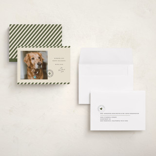 This is a forest holiday photo cards with standard by Roxy Cervantes called mostly good printing on recycled smooth signature in grand