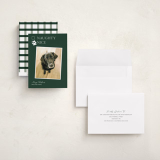 This is a forest holiday photo cards with standard by Kat Roberts called nice pup printing on recycled smooth signature in grand