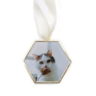This is a gold holiday decorations by Kimbra Mooers called custom hexagon ornament gold in standard