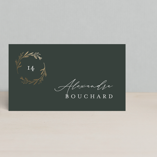 Oval Monogram FoilPressed Place Cards by Kelly Schmidt Minted