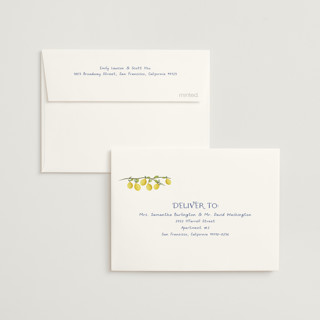 This is a limone bridal shower thank you cards with standard by Tina Faselli called limoncello printing on strathmore in standard
